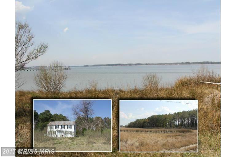 16374 Piney Point Road - Photo 1