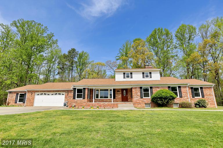 43425 Leener Lane - Photo 1