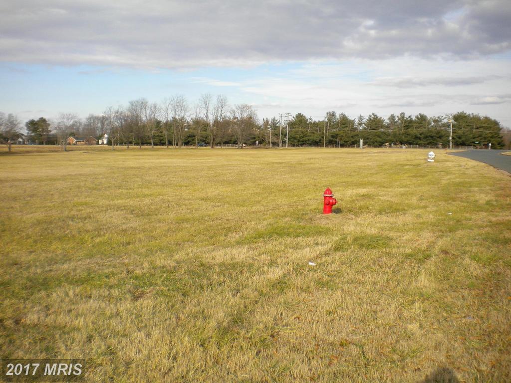 11100 Pierson Drive - Photo 1