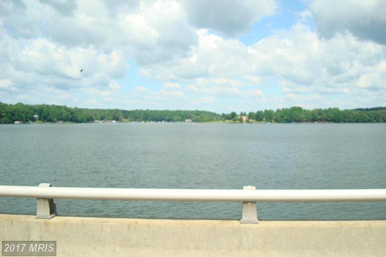 6400 Stubbs Bridge Road - Photo 1