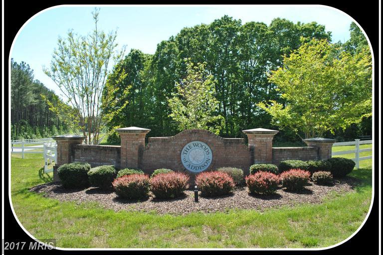 9005 Pine Acres Way - Photo 1