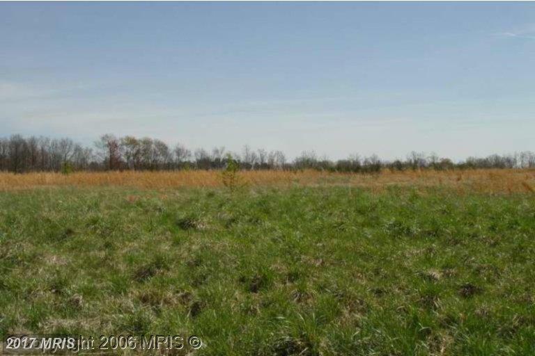 125 Perry Winkle Lane - Photo 1