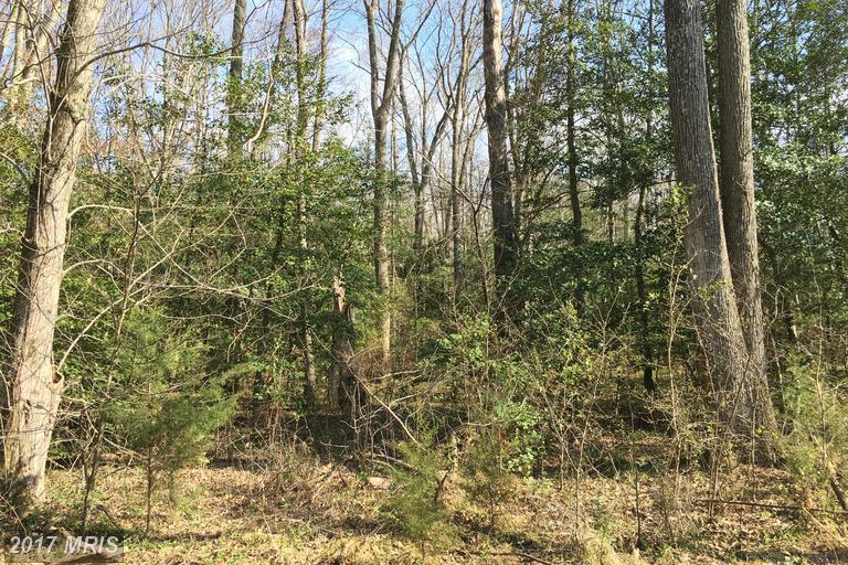 6 Foundation Drive - Photo 1