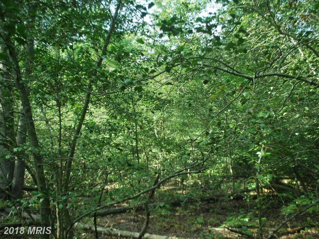 PARCEL 1 Mccarty Road - Photo 1