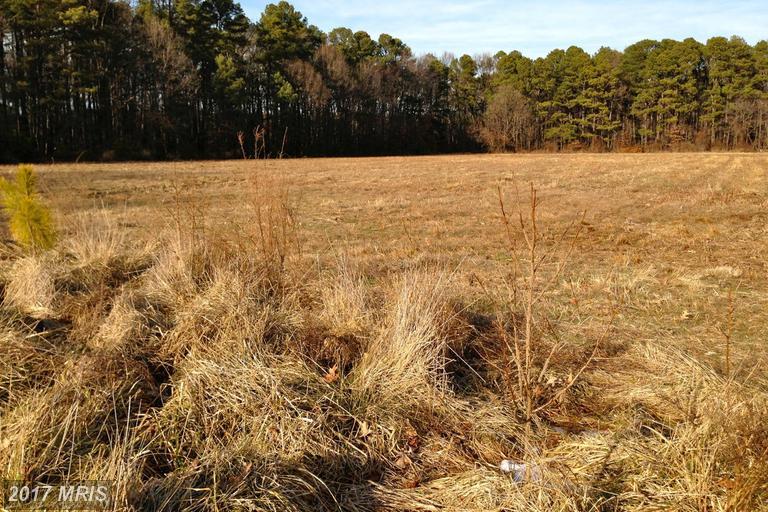 LOT #4 Cooper Point Road - Photo 1
