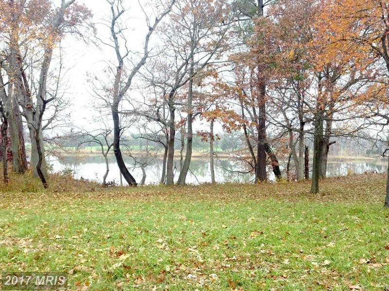 Eagle Drive - Photo 1