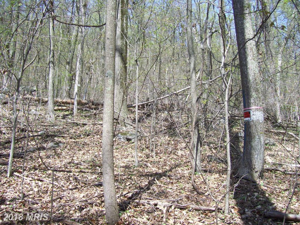 Kaetzel Road - Photo 1