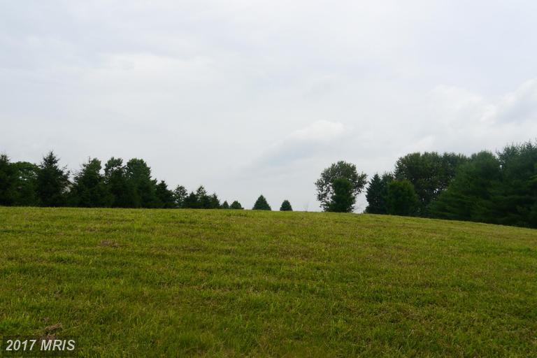Mt Tabor Road - Photo 1