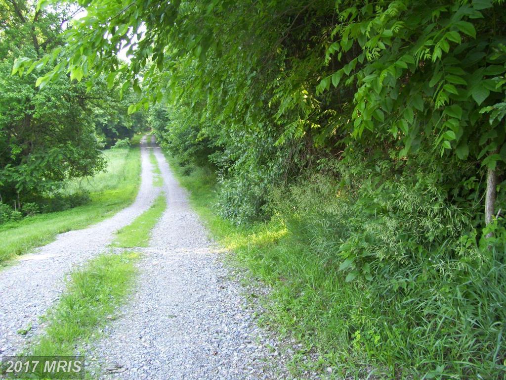 Hardwood Lane - Photo 1