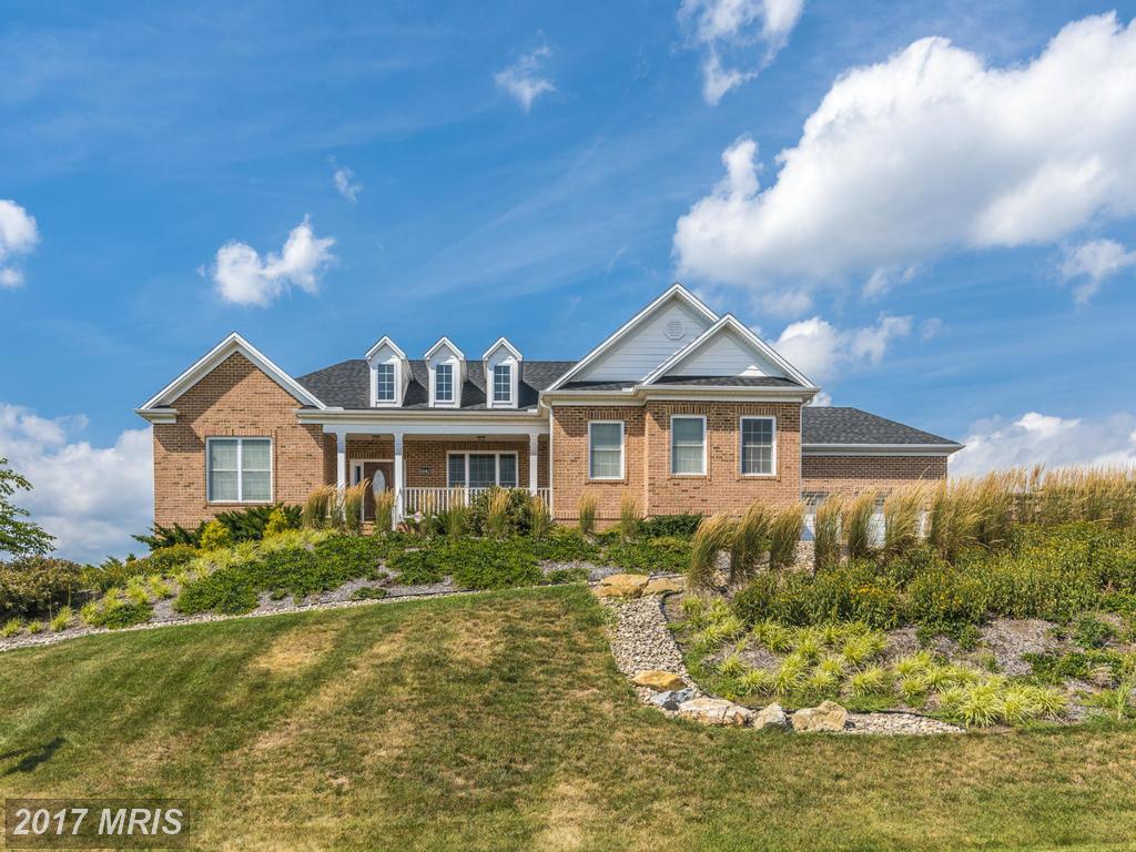 10921 Sassan Lane - Photo 1