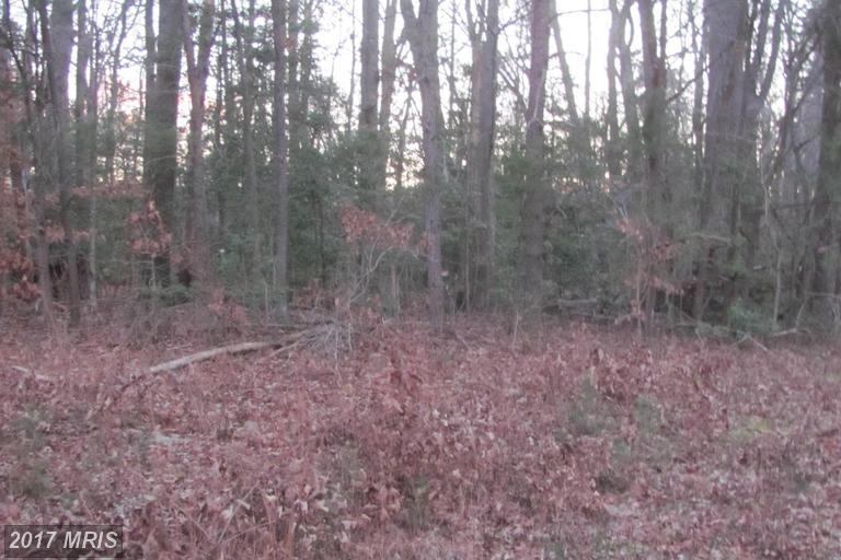 36 Timberland Dr. - Photo 1