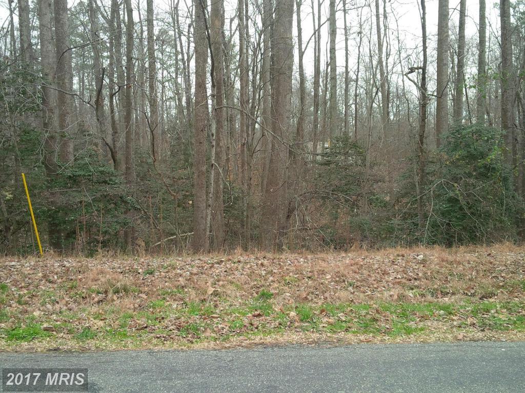N. Independence Drive - Photo 1