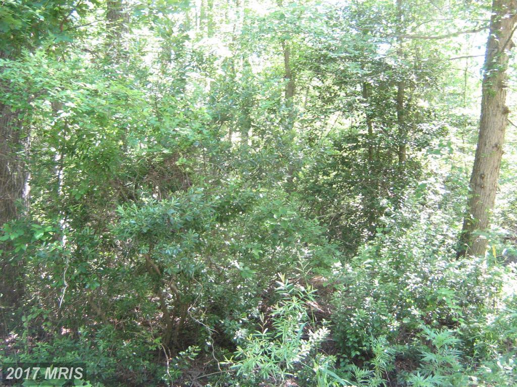 Placid Rd - Photo 1