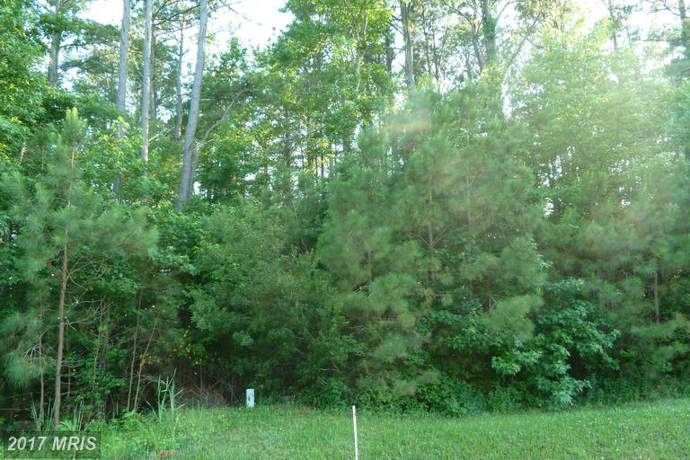 116 Pine Forest Drive - Photo 1