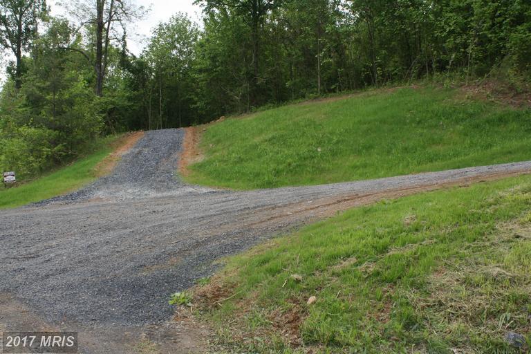 Buck Mountain Road - Photo 1