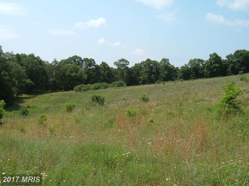 Clement-Armstrong Road - Photo 1