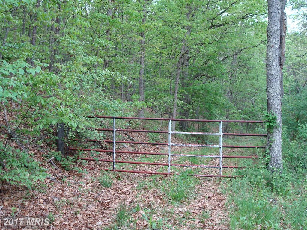 Lower Town Creek Road - Photo 1