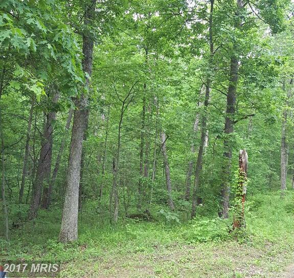 Sugar Bottom Road - Photo 1