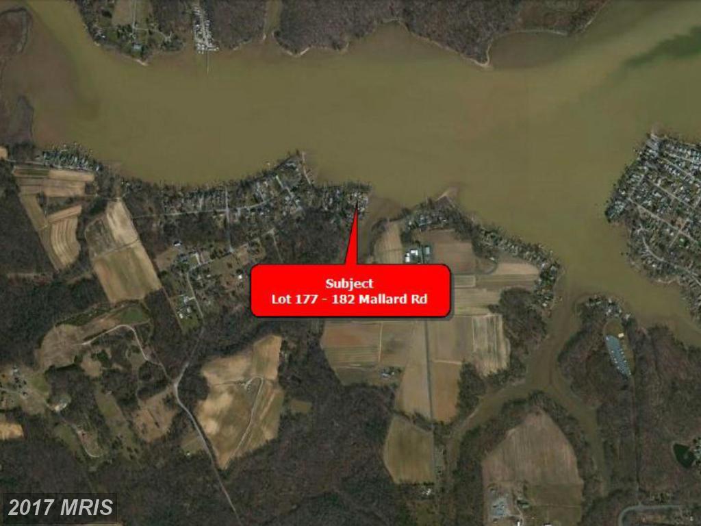 177 Mallard Road - Photo 1