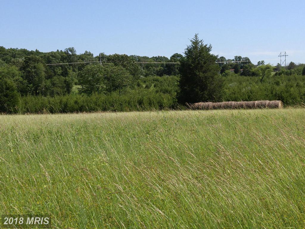 378 Hyslip Ford Road - Photo 1