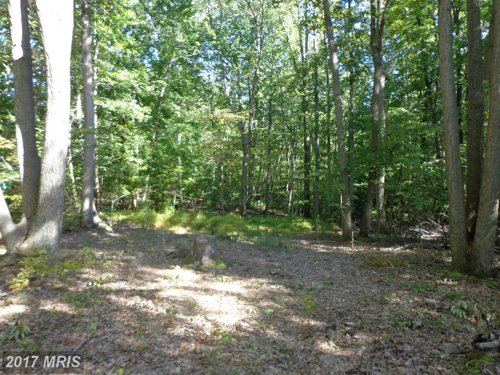 Lot 1A Turkey Point Road - Photo 1