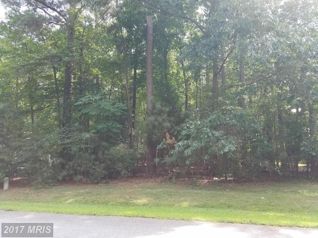 11822 Wollaston Circle - Photo 1