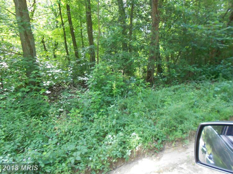 Faulkner Road - Photo 1