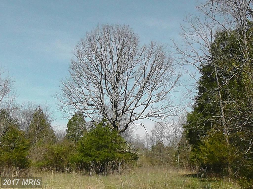 C Old Barn Road - Photo 1