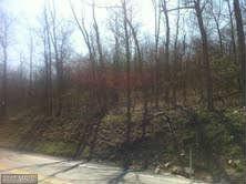 4 Corls Woods - Photo 1