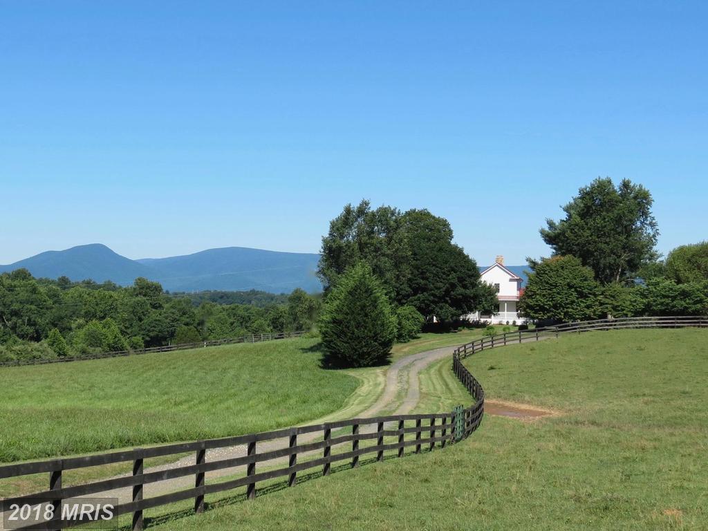 12036 Crest Hill Road - Photo 1
