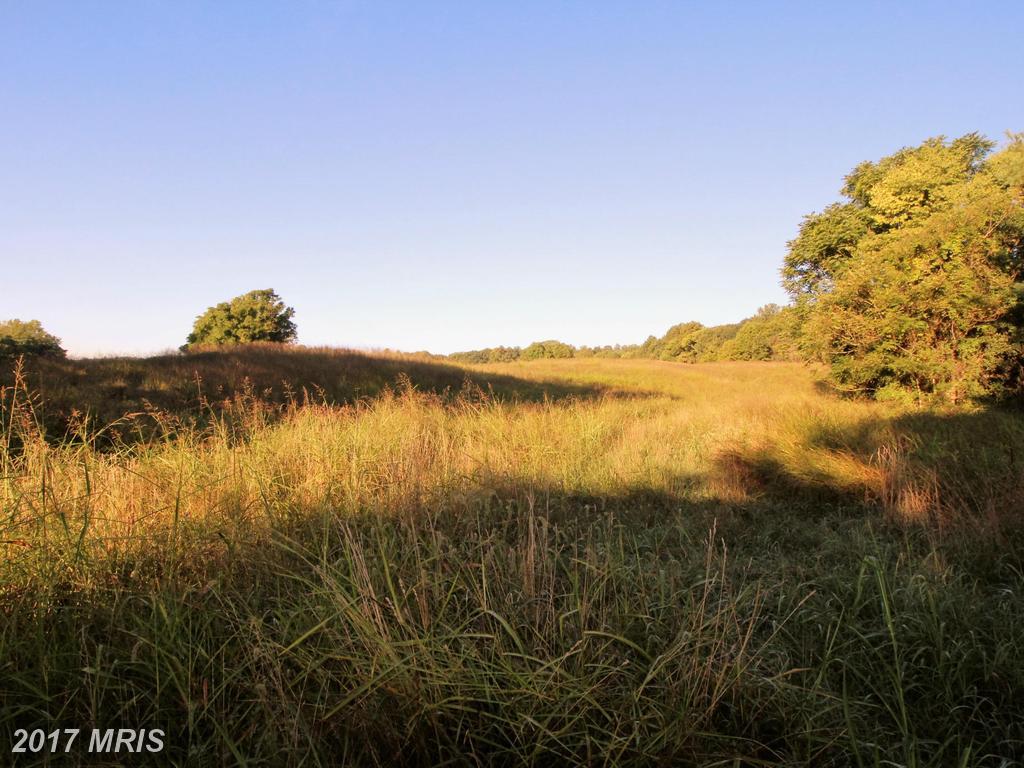 7592 Wilson Road - Photo 1