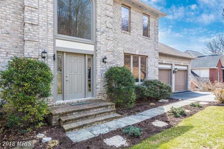 10007 Picea Court - Photo 1