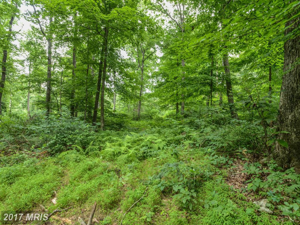 Browns Quarry Rd Lot 3 - Photo 1