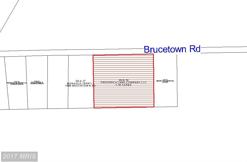 1508 Brucetown Road - Photo 1