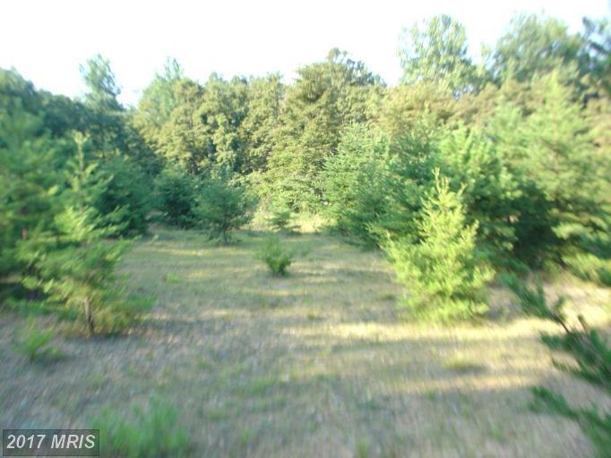 State Route 55 - Photo 1