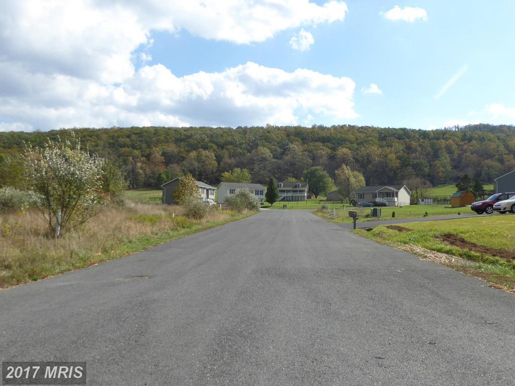 9 Sassafras - Photo 1