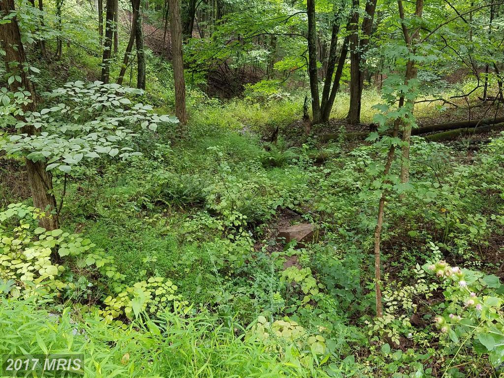 274 Black Oak Drive - Photo 1