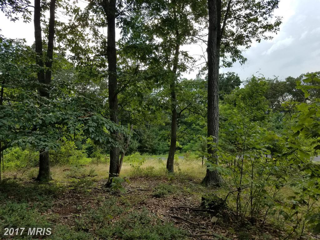 346 Nathaniel Mountain Road - Photo 1
