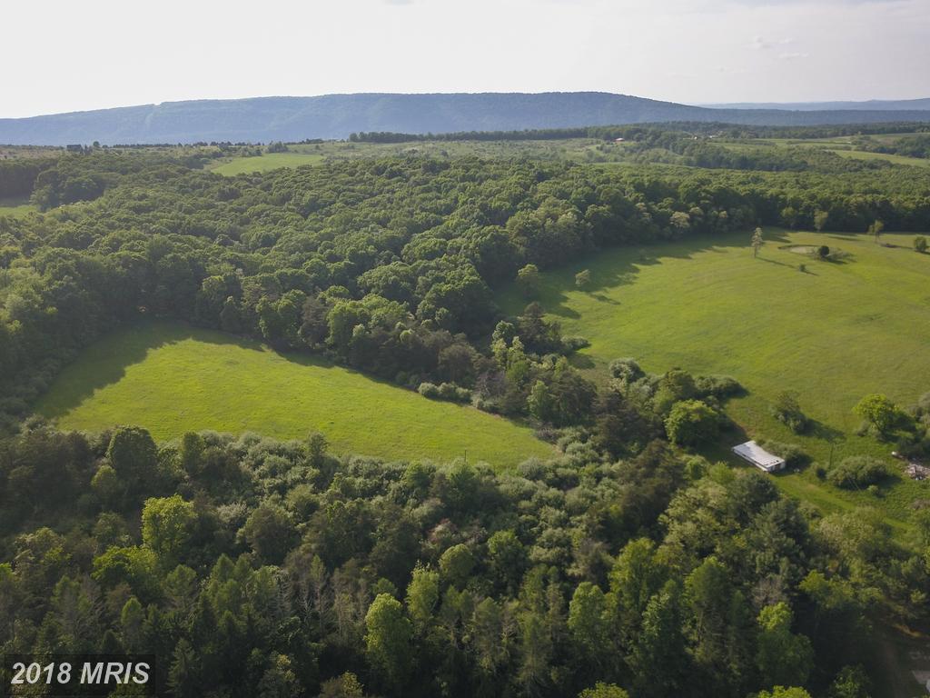 417 Harmony Hollow - Photo 1