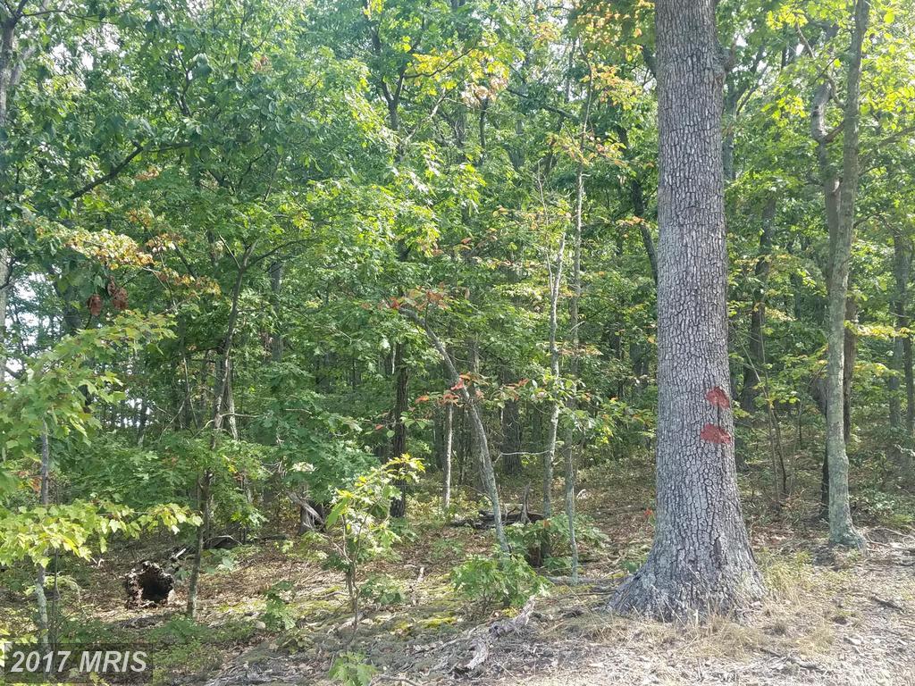 Harwood Dr/Watson School Road - Photo 1