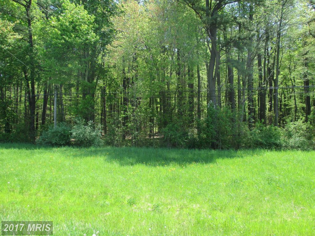 0 East Sharp St. And Rt. 20 - Photo 1