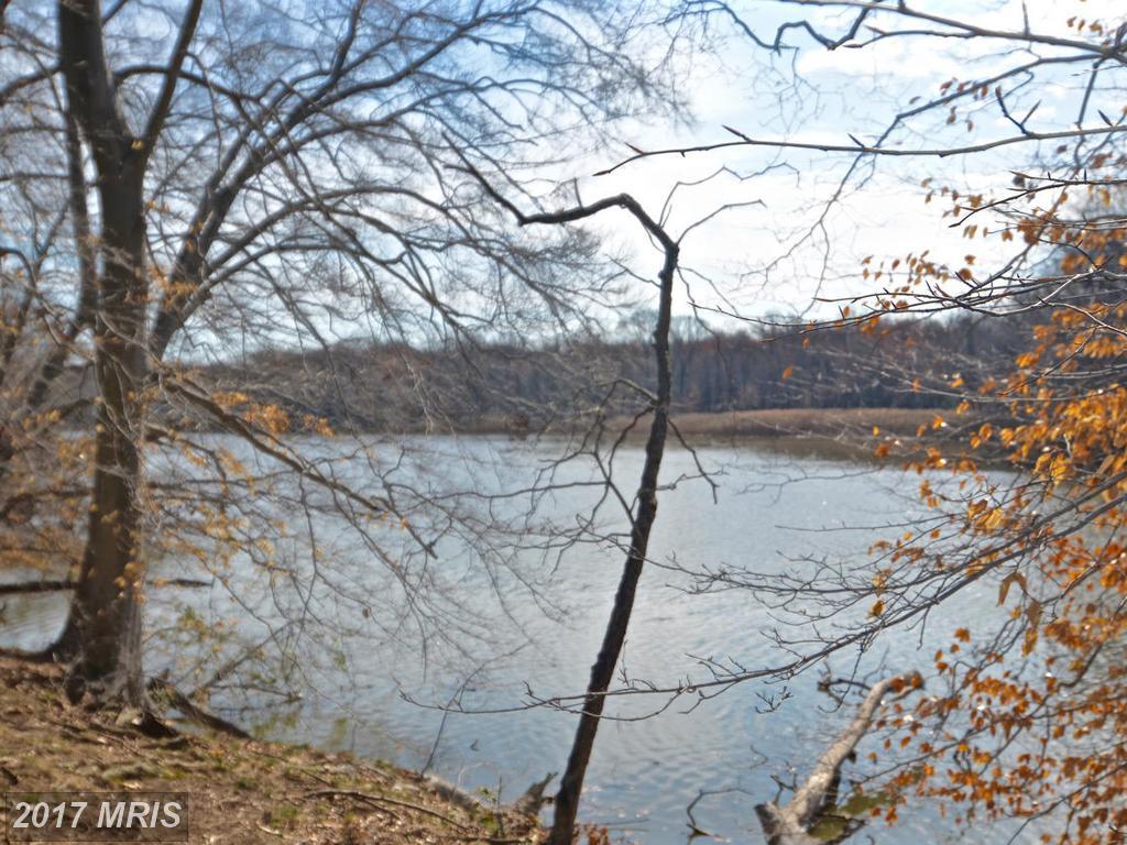 26 Fairgale Farm Lane - Photo 1
