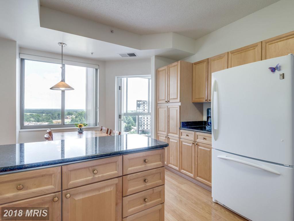 19365 Cypress Ridge Terrace - Photo 1