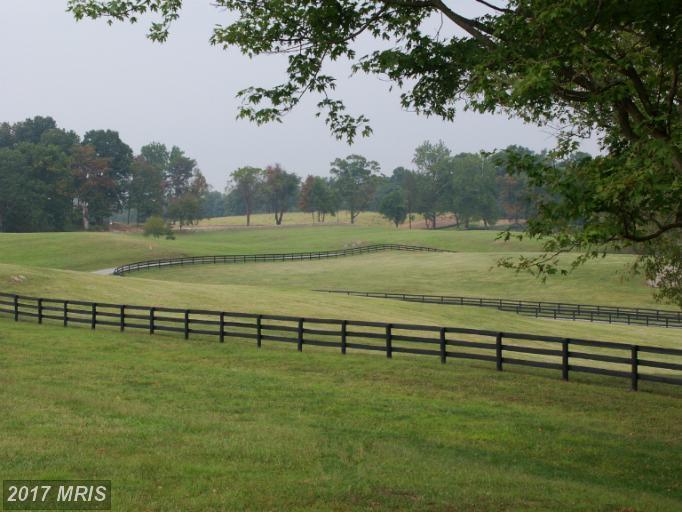 36987 Mountville Road - Photo 1