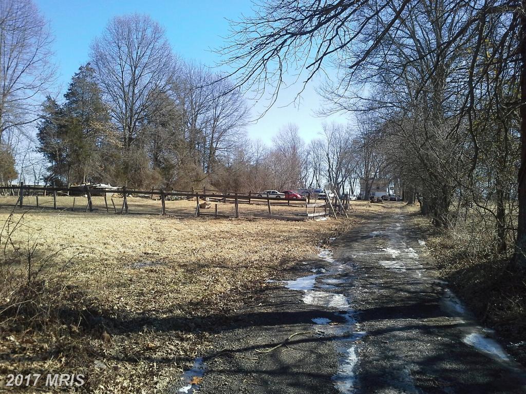 22552 Sam Fred Road - Photo 1