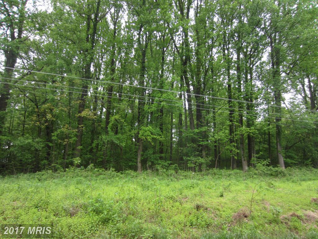 Taylorstown Road - Photo 1