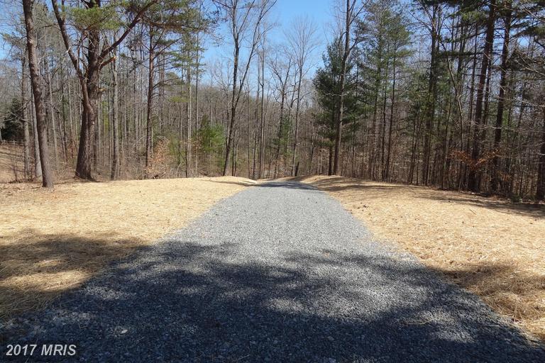 Elly Road - Photo 1