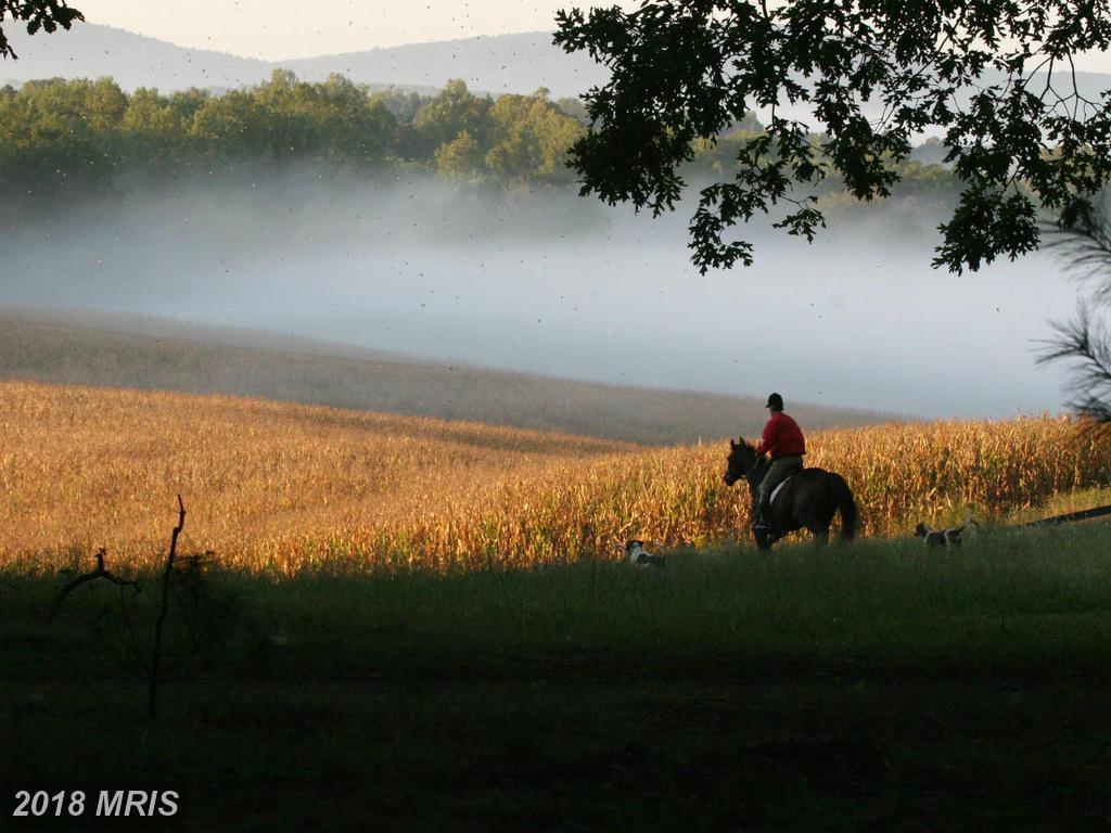 0 Blue Ridge Turnpike - Photo 1