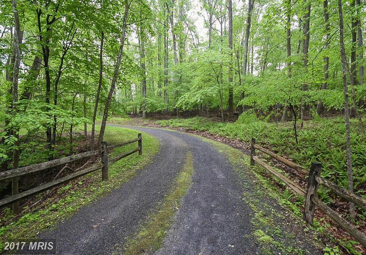Berryville Road - Photo 1