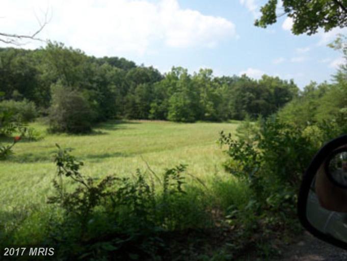 Posey Hollow Road - Photo 1